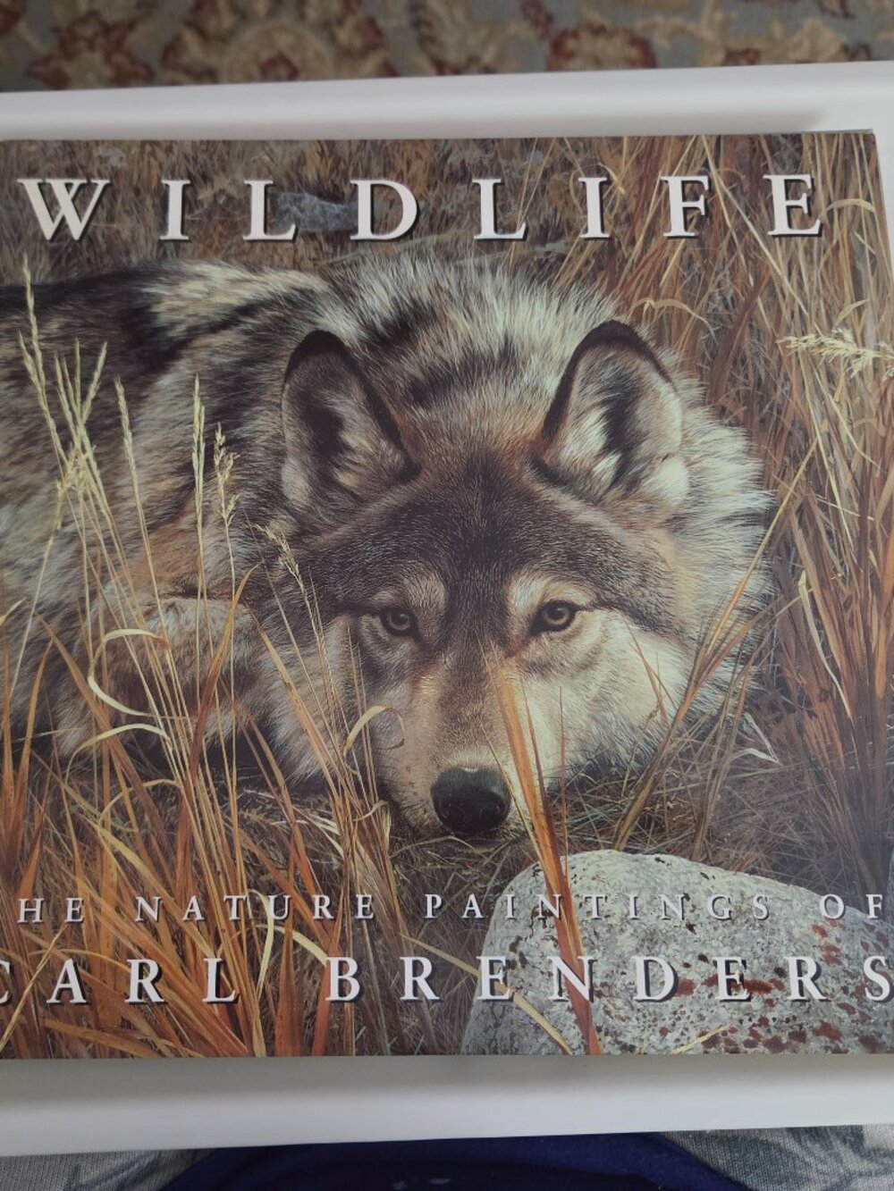 HARDCOVER COFFEE TABLE BOOK  WILDLIFE  NATURE PAINTINGS